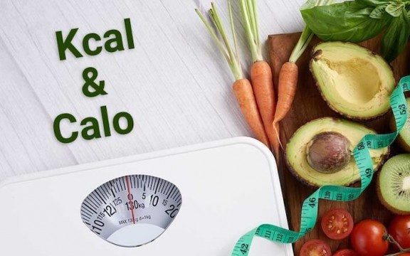 Giải Mã Kcal Khác Gì Calo? Hướng Dẫn Đổi Kcal Sang Calo Chính Xác