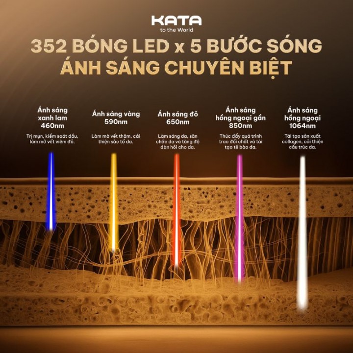 đèn led với ánh sáng chuyên biệt