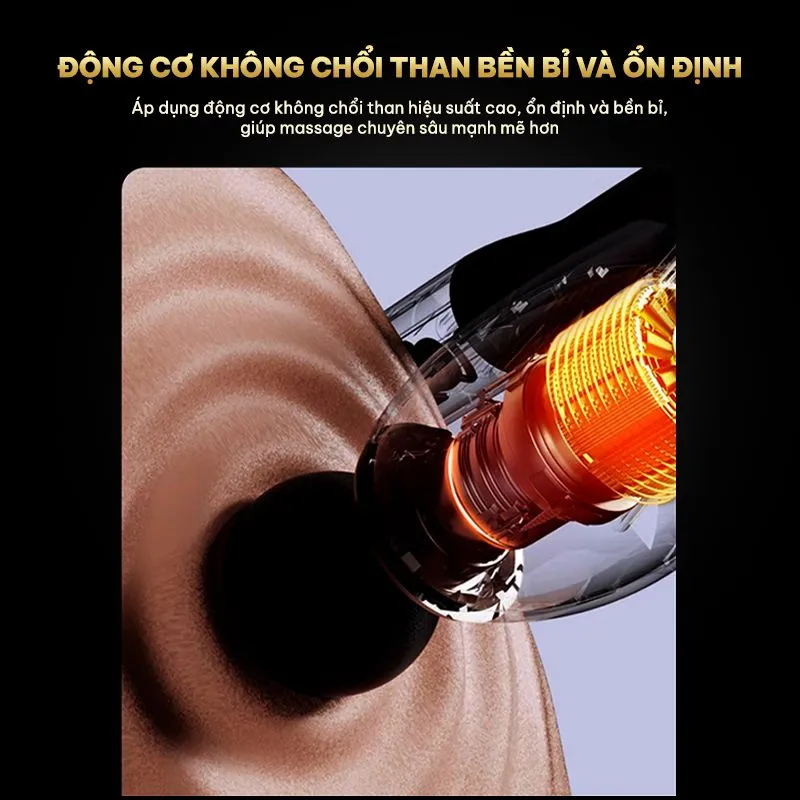 Động cơ không chổi than cao cấp