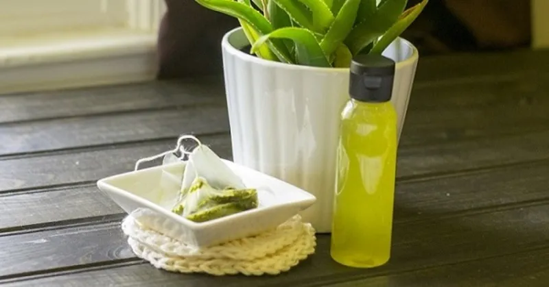  Xịt khoáng từ trà xanh giúp kiềm dầu 