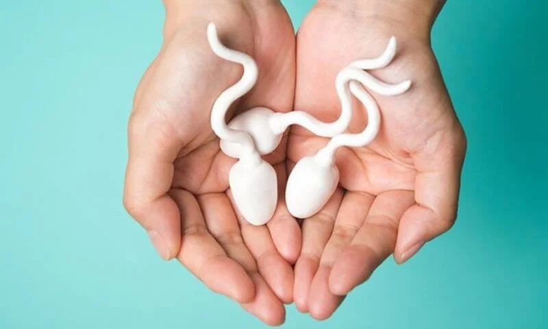 Kẽm tốt cho tinh trùng nam giới