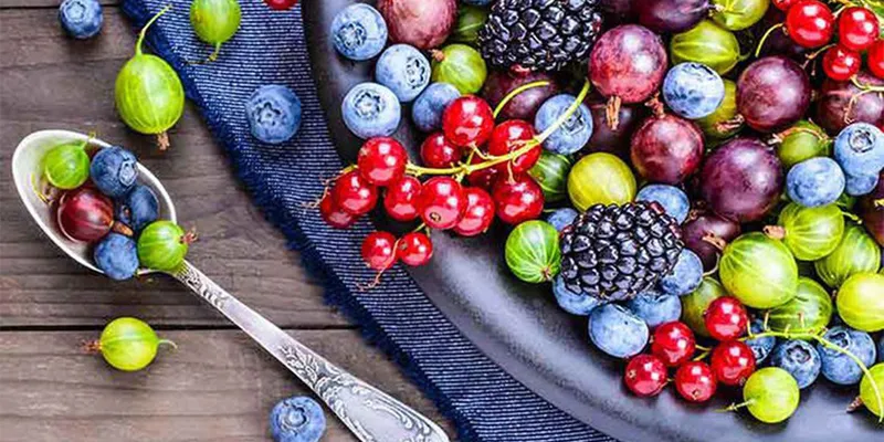 Quả mọng là sự lựa chọn hợp lý cho việc giảm cân